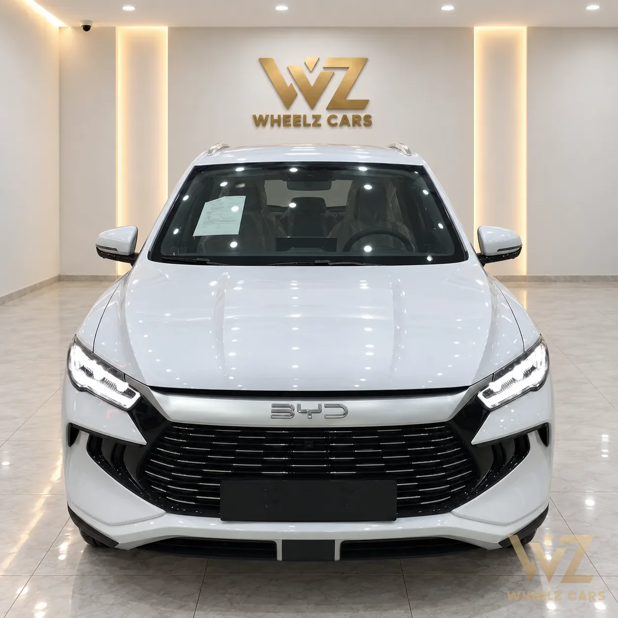 byd سيليون استاندر 2027